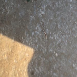 Meet your Posher, Nevaeh